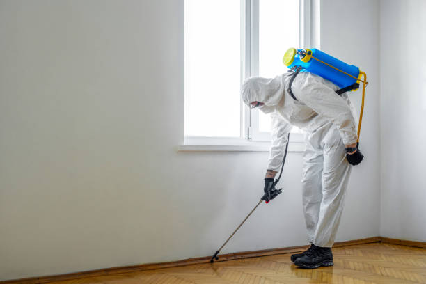 Pest Control for Hotels in Portsmouth, NH